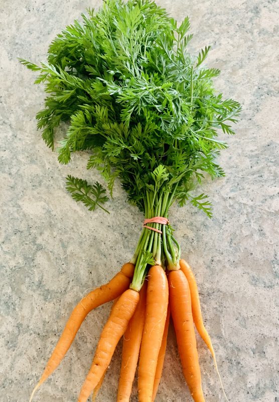 Carrot Top Concoctions Fettle And Food