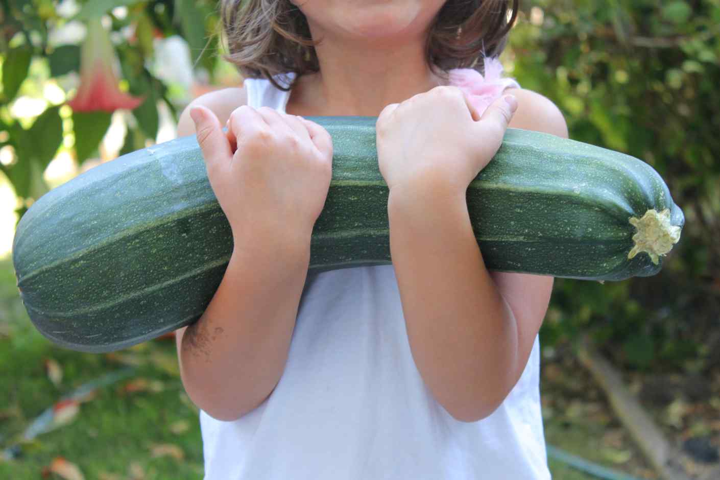 is overgrown zucchini still good